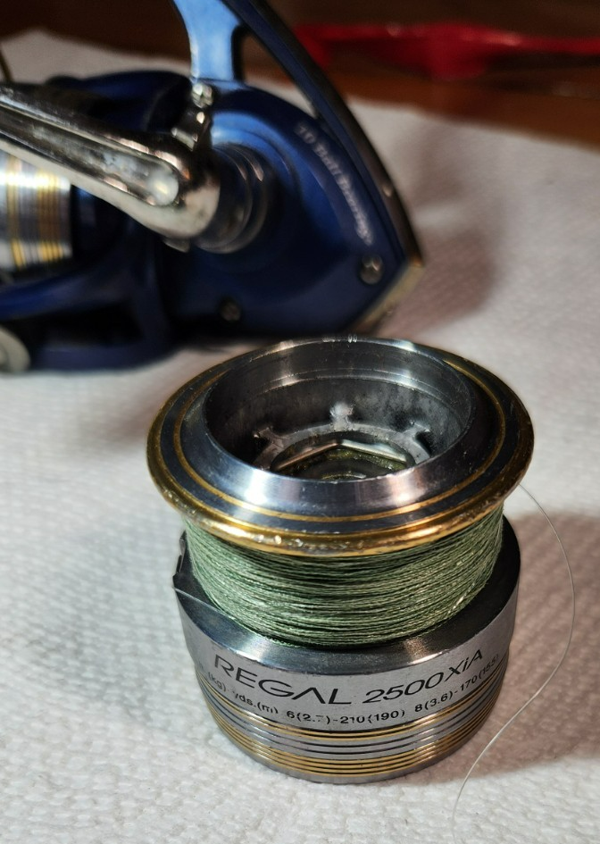Daiwa Line Roller Bearing – Cuscinetto Originale Per Mulinelli REGAL (Z, X, S)