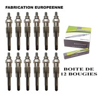 12 Neue VorglüHkerzen FüR XUD Y-924J GN954 HDS348 Aluminium M12X125 Motor