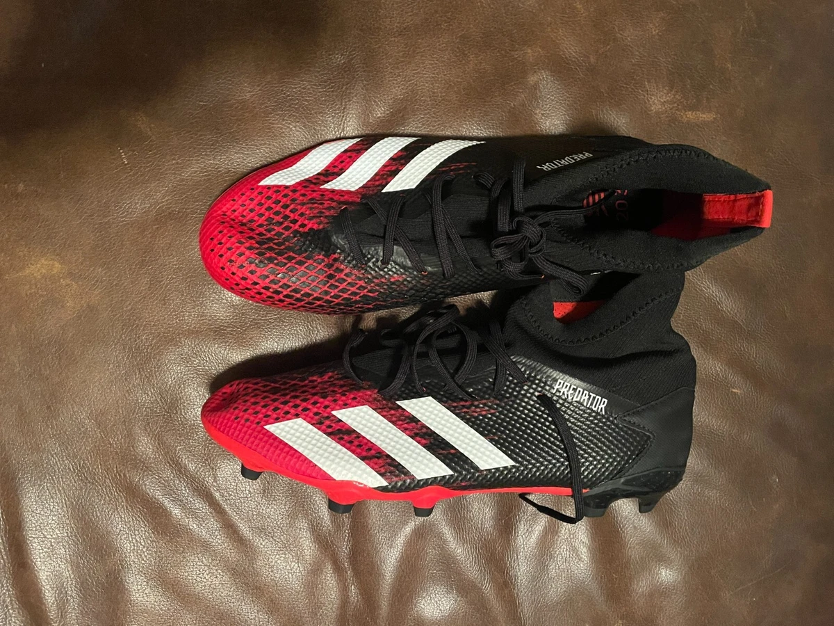 Predator 20.3 online l