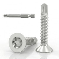 Blechschrauben M4,8X19Mm Edelstahl, Selbstschneidend, Torx, Senkkopf, FüR