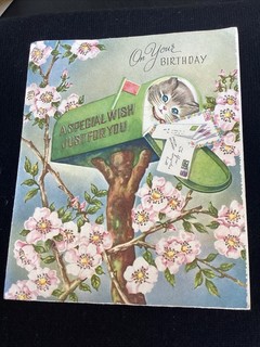 Vintage Cat Kitten In Mailbox Birthday Greeting Card Antique