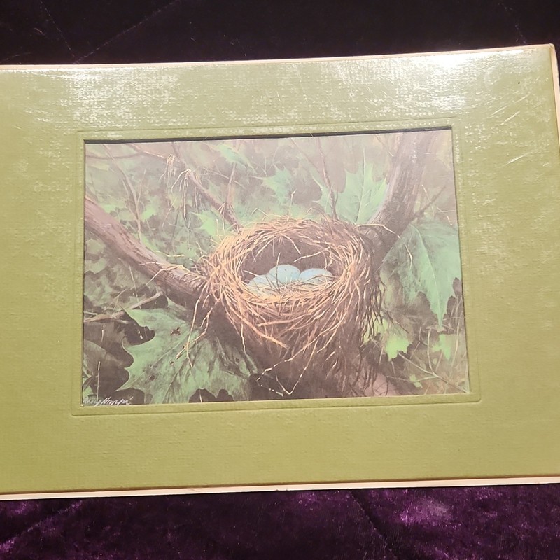 Mat-Mates Inc. Replica Collection Bird's Nest Mat Print 9x12 250 Made USA