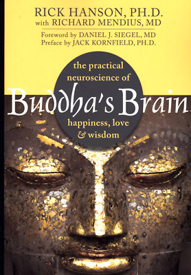 RICK HANSON BUDDHA'S BRAIN HAPPINESS LOVE AND WISDOM VERY GOOD