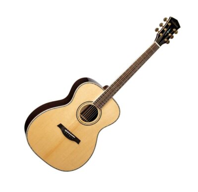 Parkwood P820ADK OM Orchestra All Solid Wood Compact Body Acoustic Guitar