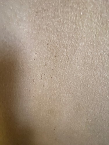 Aquascutum Harrods 100% Cashmere Coat - Picture 8 of 9