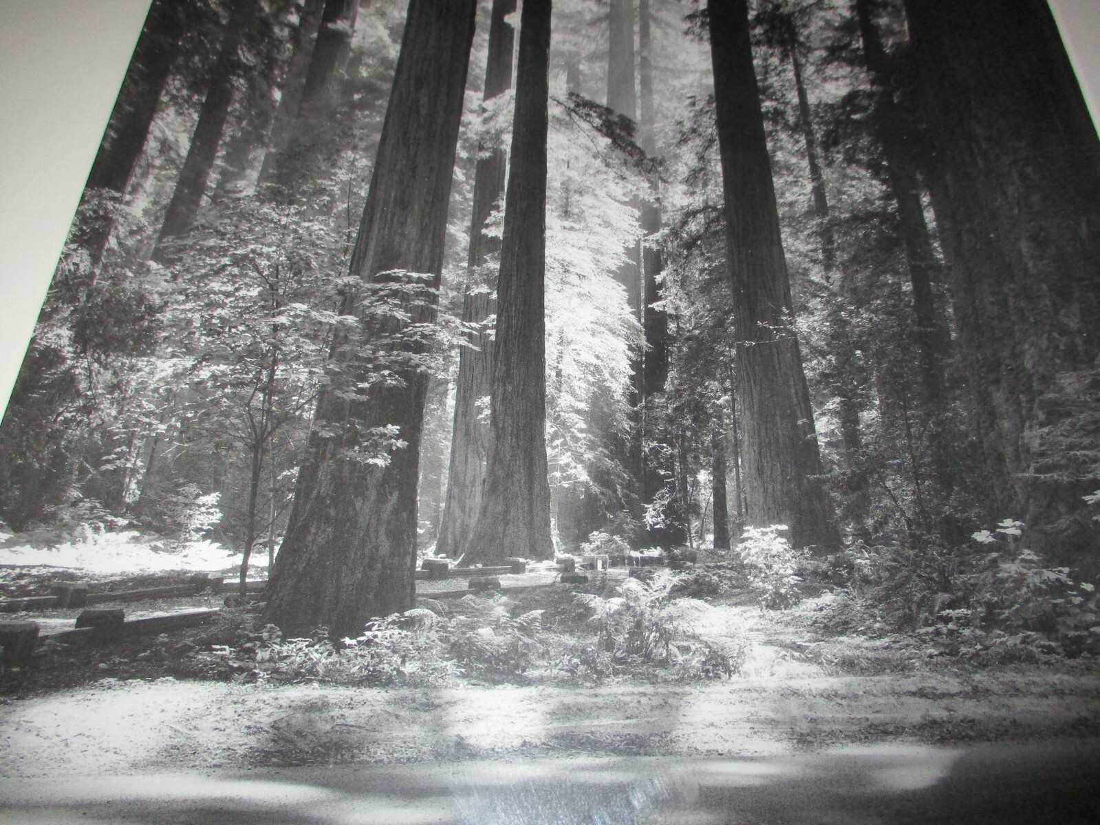 Picture 4 of 5