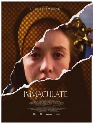 Immaculate Torn Collage Poster Print For Wall Decor