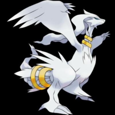 RESHIRAM '' 10 INVITES '' POKEMON RAID INVITE GO - Possible Shiny