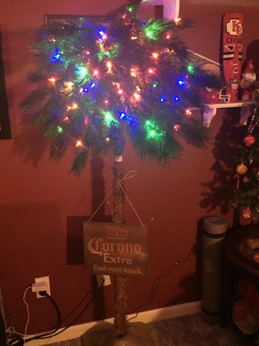 Corona 5 Foot Commercial Palm Tree LED Pre Lit Artificial Motion