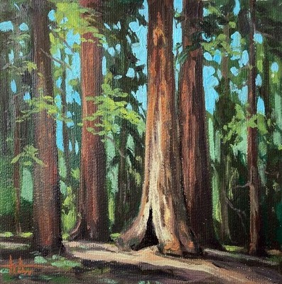 Original Painting Forest Landscape 8x8 inches Sequoia Tree
