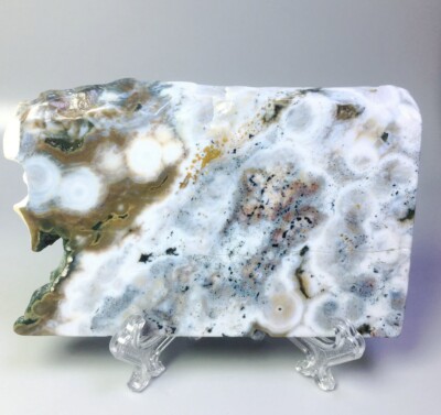 Natural Polished Ocean Jasper Agate Quartz Crystal Slice Stone Reiki/Stand