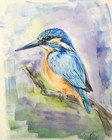 Bird Kingfisher Watercolor Original Painting by Liz Altin