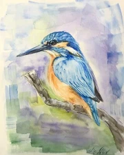 Bird Kingfisher  Watercolor Original Painting by Liz Altin 