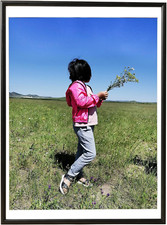 12X16 Picture Frame 12X16 Metal Picture Frame Display Pictures 11X14