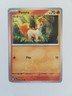 Cheap Pokemon Cards