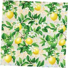 Window Privacy Film Stained Glass Decorations Static 17.5*78.5 Rainbow Lemon