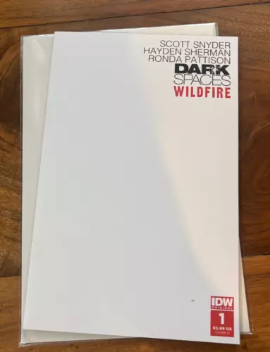 Dark Spaces Wildfire #1 Cover Variant E Scott Snyder IDW 2022