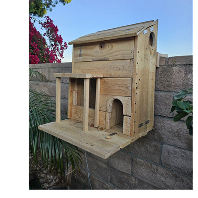 2 Story Squirrel House With Camera Mount *DIFFERENT SIZES AVAILABLE*