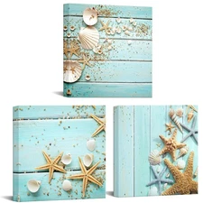 Seashell Canvas Wall Art Starfish Pictures Wall Decor Modern Sea Ocean Painti...