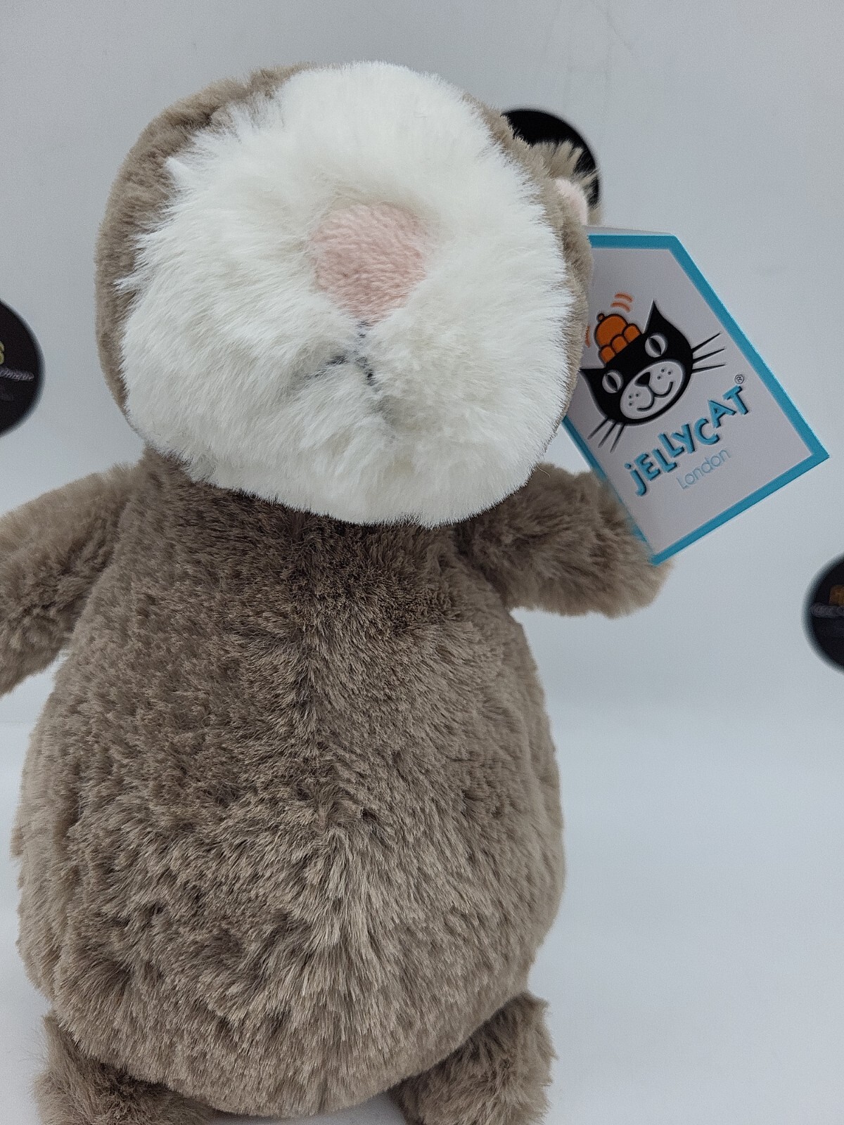 happy nutmeg hamster mini