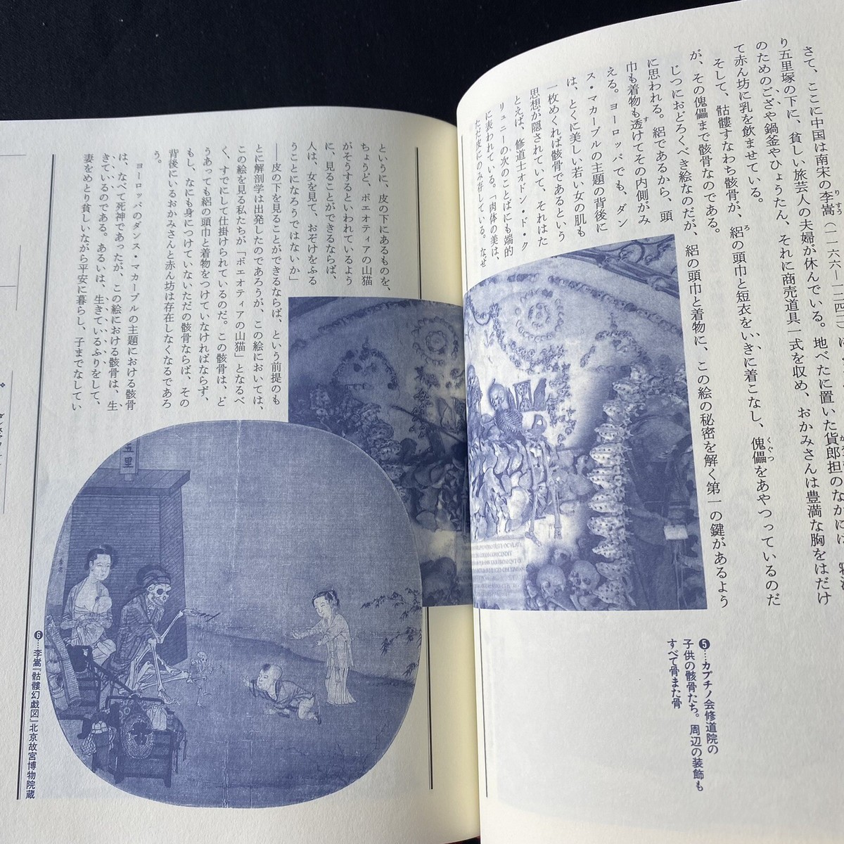 Japanese Art Book The Iconography of Capricious Landscape