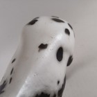Picture 5 of 8