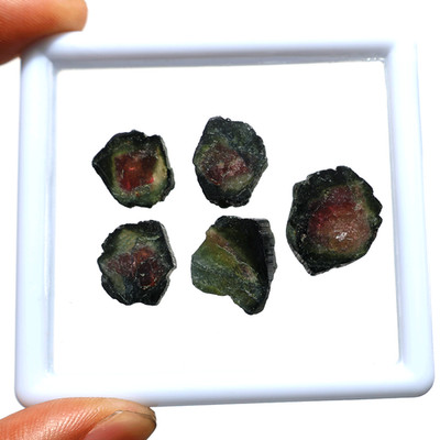 5 PC Wild Core Watermelon Tourmaline Slice Set 12mm-17mm Raw Edge Bi-Color Gems