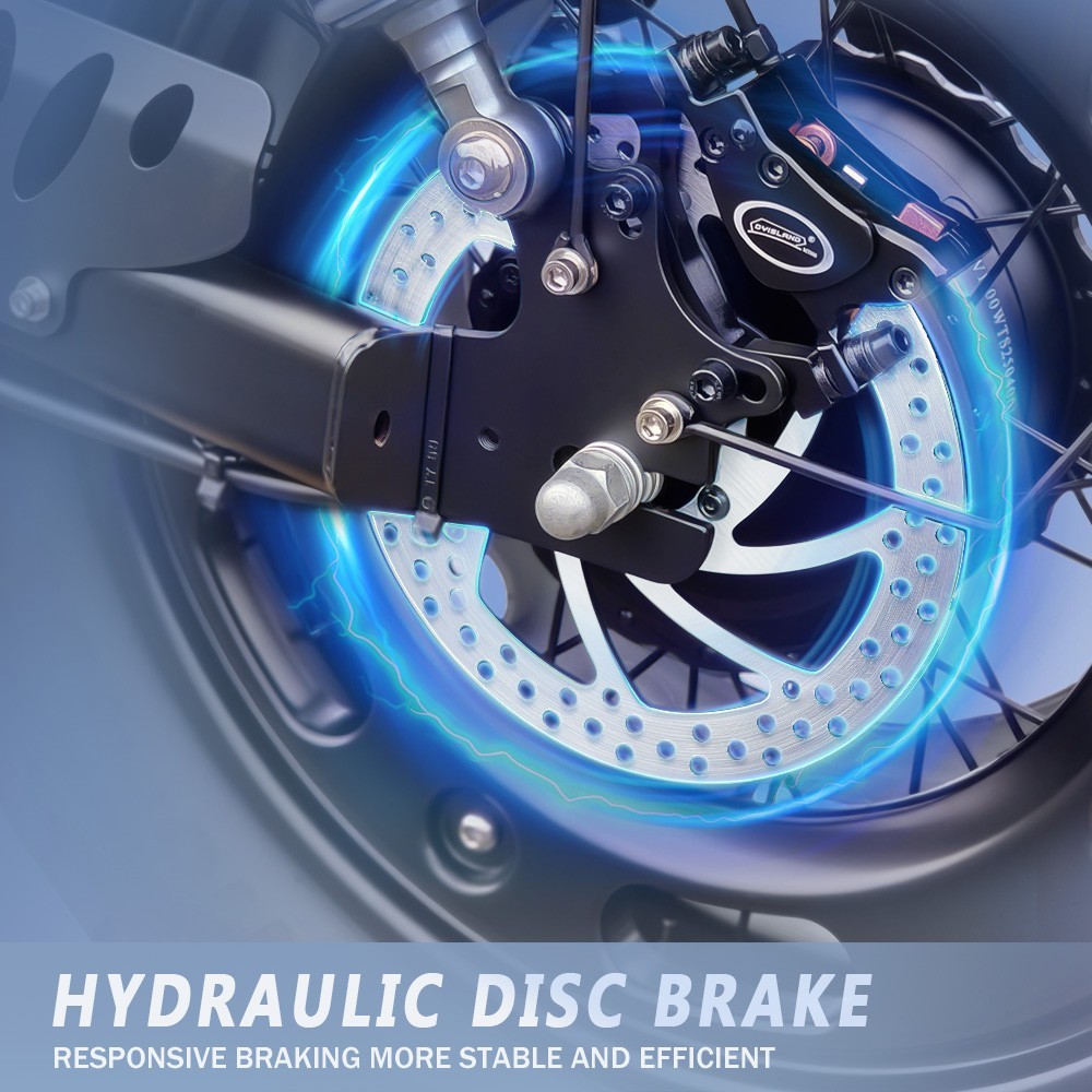 6000W Electric Motorcycle 60V 43AH Dual Motor 20" Fat tire Warrior E-bike 60km/h