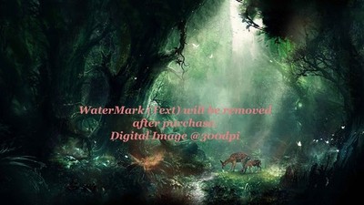 Schöne Landschaft Regen Wald mit niedlichen Lieben Digital Bild Tapete RF4