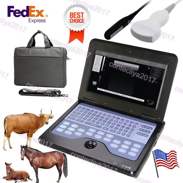 VET Veterinary Ultrasound Scanner For Equine/cows/sheep Rectal +Convex