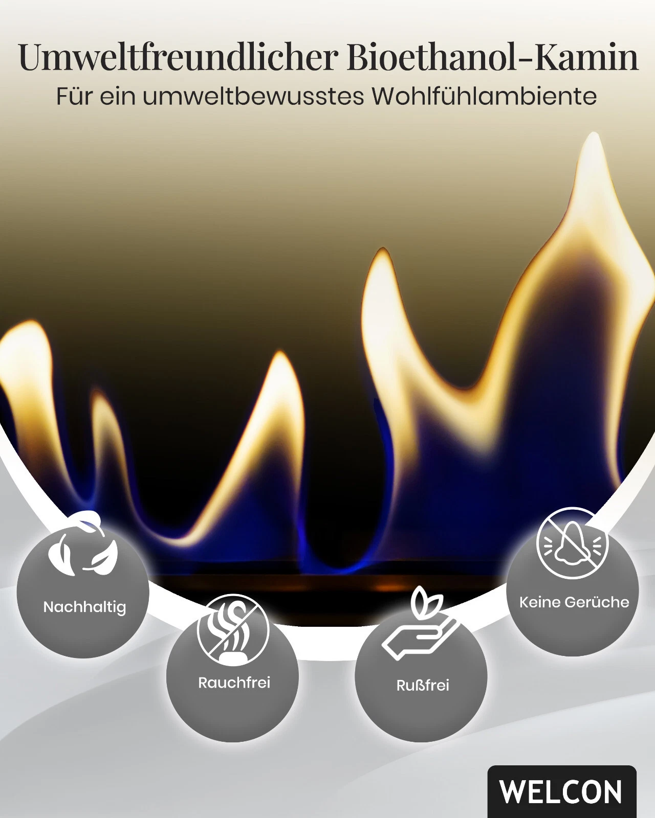 Bild 5 von 6