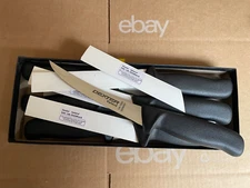 Lot of 10 - Dexter Russell Upland 6 inch Sani-Safe Boning, Fillet Knife