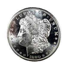 1880 S PL Morgan Silver Dollar VAM 8 Double Date Tot 100 GEM BU. Coin # 2514