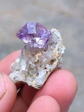 Karur Amethyst sceptre on matrix Natural Mineral specimen Crystal rock