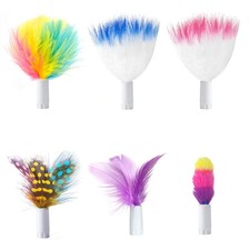 6PCS Feathers ONLY Interactive Cat Toys