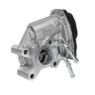 EGR Valve Delphi EG10654-12B1