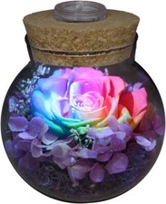 Preserved Real Roses with Colorful Mood Light Wishing Bottle,Eternal