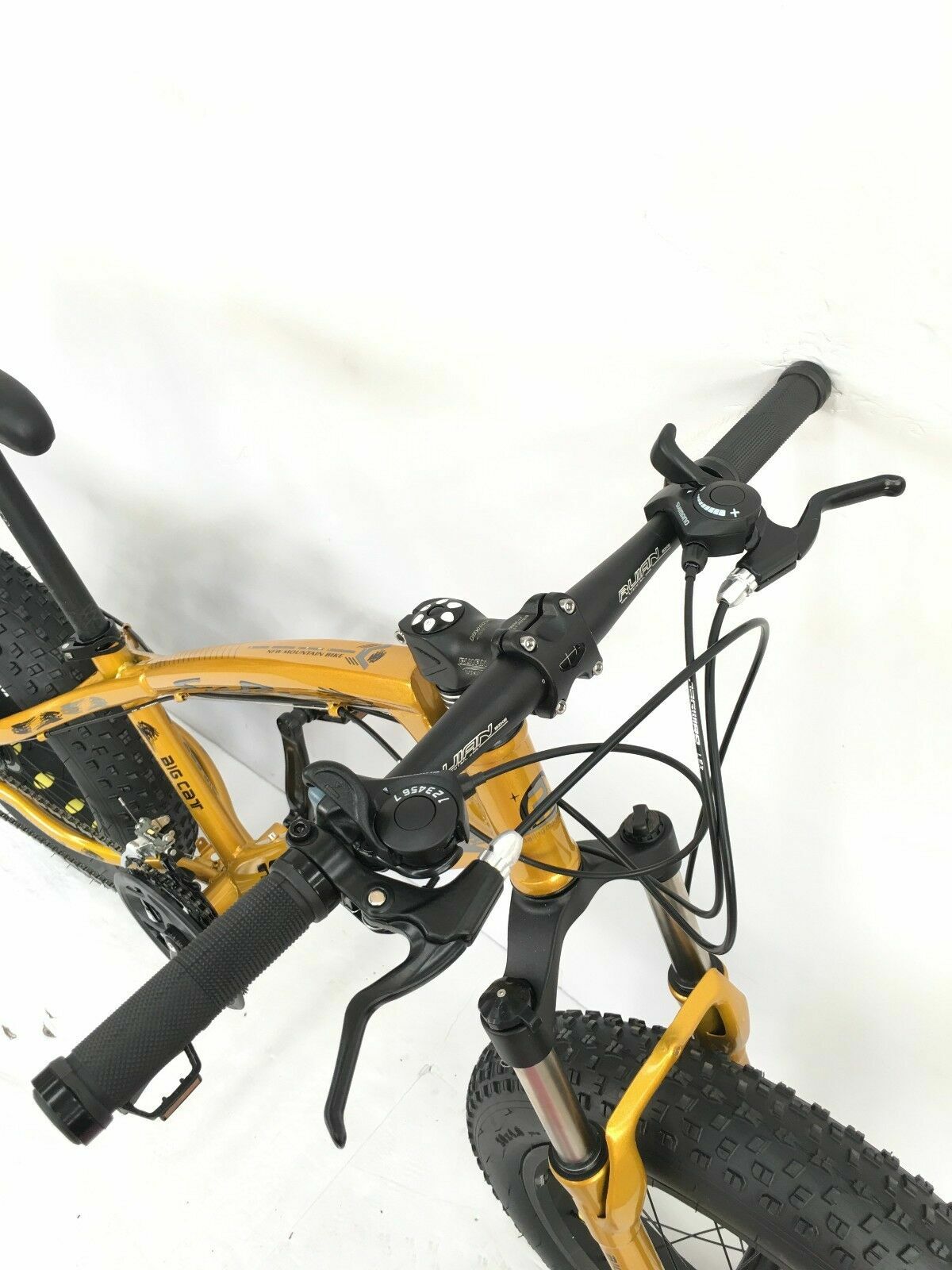 pedalease electric fat bike