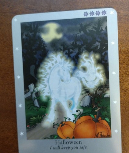 Bella Sara First Series