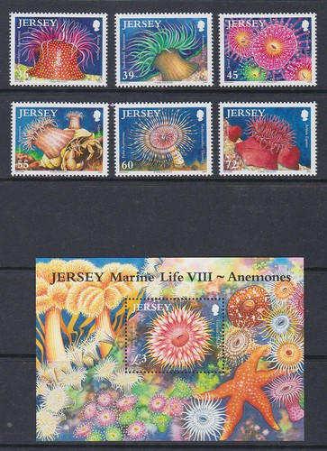 Jersey 2010 Mint MNH Full Set Minisheet Marine Life VIII Anemones Starfish Jewel