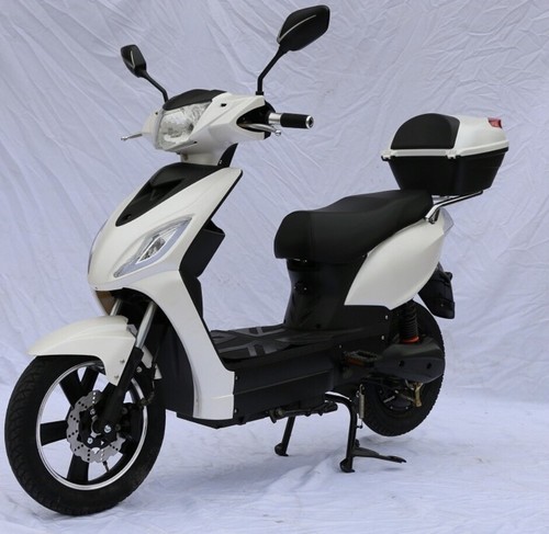 BICICLETTA Elettrica SKY II REVENGE 500W scooter elettrico 48v 20ah Bat  Piombo | eBay