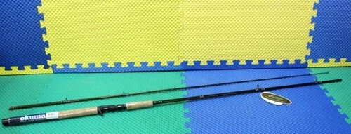 20-40 lb fishing pole saltwater fishing Penn Wrath II Spinning Combo
