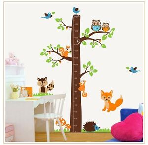 Childrens Growth Chart For Wall