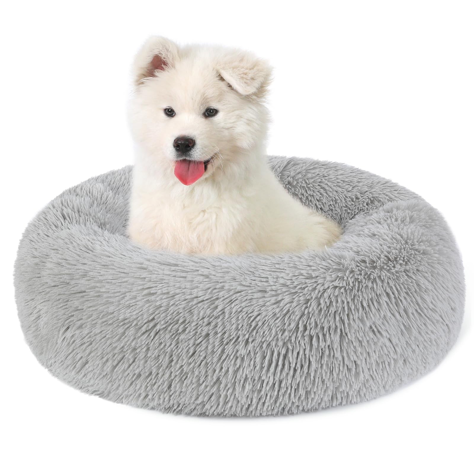 Coussin chat et chien rond en peluche pour un salon chaleureux