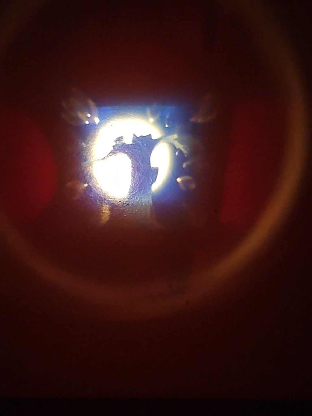 Picture 18 of 22