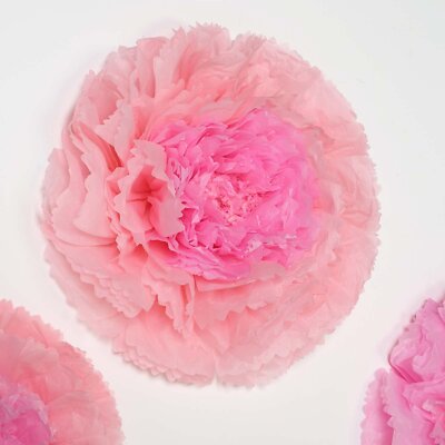 12 pack 12'' 16'' 20'' Blush and Pink Tissue Paper Carnation Flowers Home Backdrop