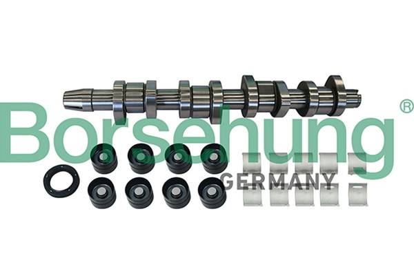 Borsehung Nockenwellensatz B11307 FüR VW Multivan T5 7HM 7HN 7HF 7EF 7EM 7EN Bus-image