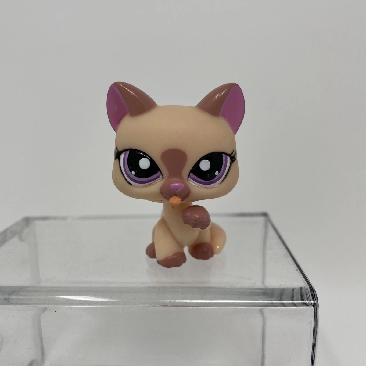 Littlest pet shop pink cheap cat
