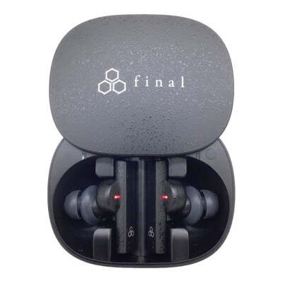 Final ZE8000 Bluetooth Wireless Earphones Active Noise Cancelling 8K Sound Black
