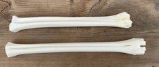2 Deer Leg Cannon Bones Metacarpal Metatarsal